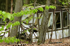 P1050301