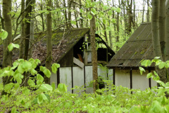 P1050309