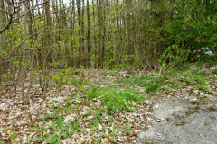 P1050336