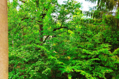 IMG_20250609_125919