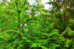 IMG_20250609_125921