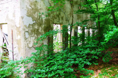 P1070853