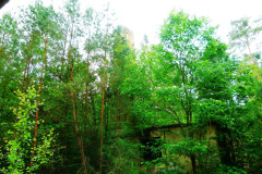 P1070870
