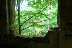 P1070877