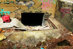 P1070931