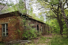 MVIMG_20260509_133611
