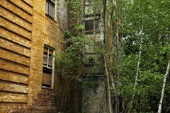 MVIMG_20260509_133639