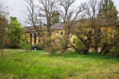 MVIMG_20260509_134125