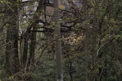 MVIMG_20260509_134527