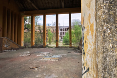 MVIMG_20260509_134728