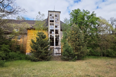 MVIMG_20260509_135029