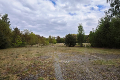 MVIMG_20260509_135034