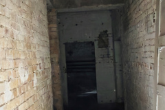 MVIMG_20260509_135557