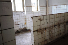 MVIMG_20260509_140711