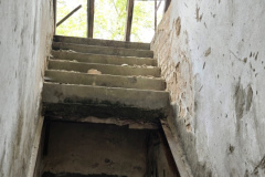 MVIMG_20260509_141111