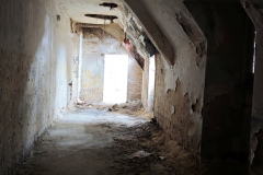 MVIMG_20260509_141121