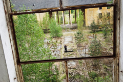 MVIMG_20260509_141544