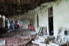 MVIMG_20260509_141818