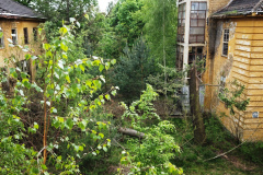 MVIMG_20260509_142128