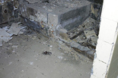MVIMG_20260509_142609