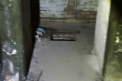 MVIMG_20260509_142614