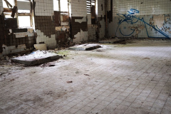 MVIMG_20260509_143134