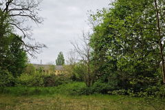 MVIMG_20260509_143715