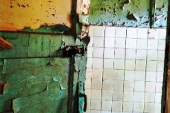 IMG_20250810_152441