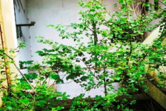 IMG_20250810_155348