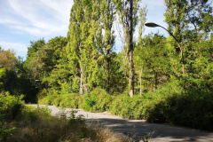 IMG_20250920_135007
