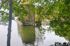 IMG_20251014_130509