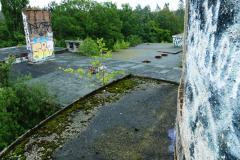 P1060817