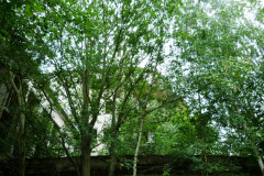 P1060834