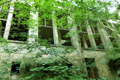 P1060835