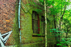 MVIMG_20260510_092248