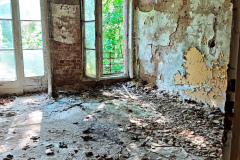 MVIMG_20260510_093314