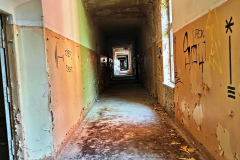 MVIMG_20260510_093341
