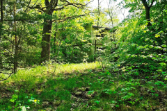 MVIMG_20260510_101534