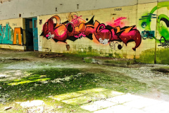 MVIMG_20260510_101817