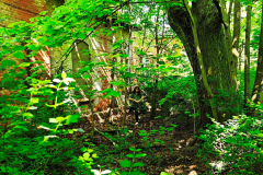 MVIMG_20260510_102120