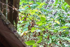 IMG_20250824_150637
