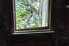 IMG_20250824_151931