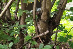 IMG_20250824_153650