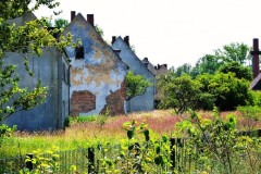P1050186