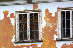 P1050198