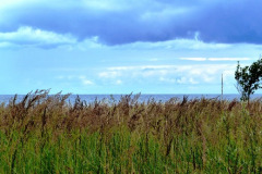 P1050200