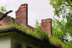 P1050239