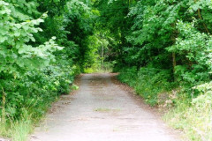 P1050275