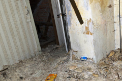 MVIMG_20260419_153519