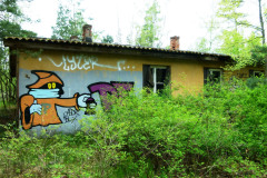 P1020476
